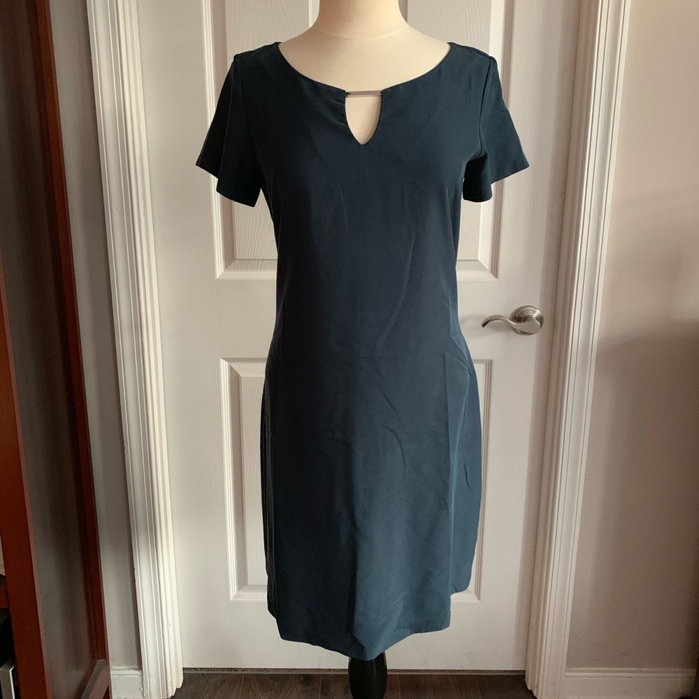 Sharagano Dress